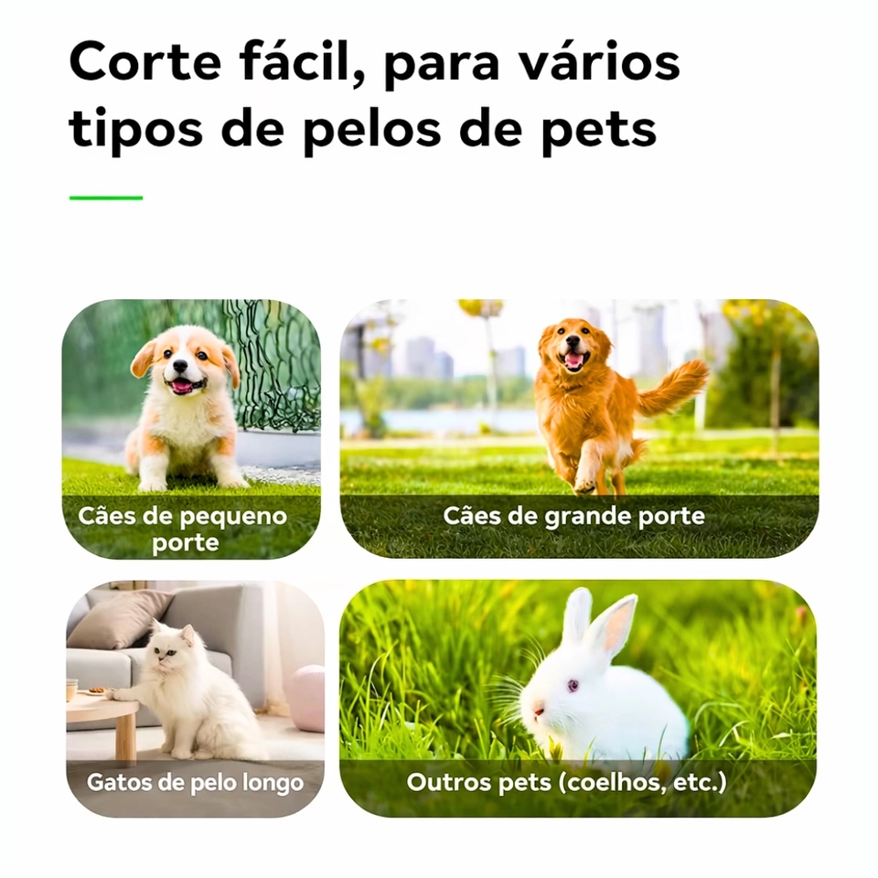 Kemei de cortar Pelos Pets e animais de estimação Bivolt sem fio 110V220V km-cw2100 Máquina 2026 - 6