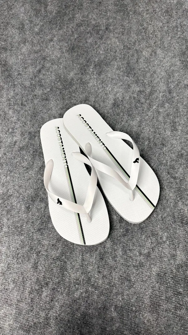 Chinelo premium 