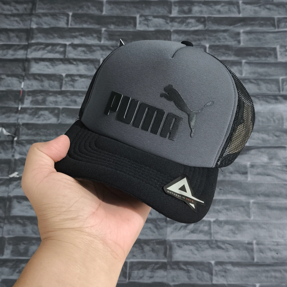 Boné Puma - Cinza - 1