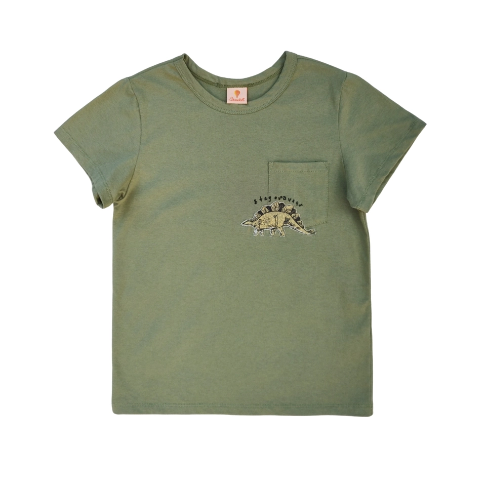 ÚLTIMA UNIDADE Conjunto Dino Sauros - 3