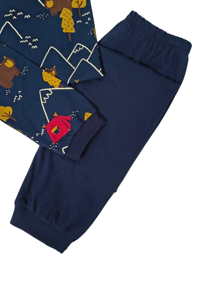 Conjunto Urso na Floresta  - 3