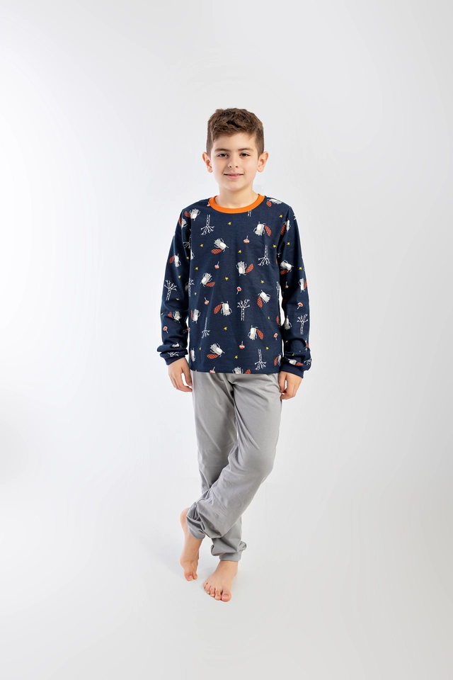 Conjunto Castor