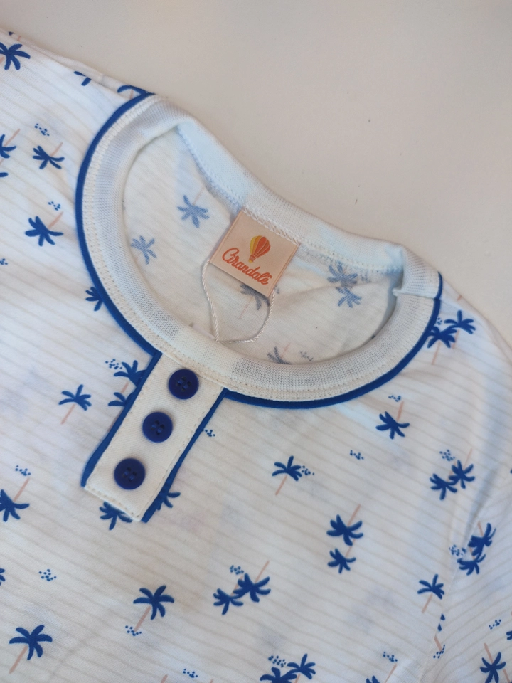 Conjunto Coqueiro - 2