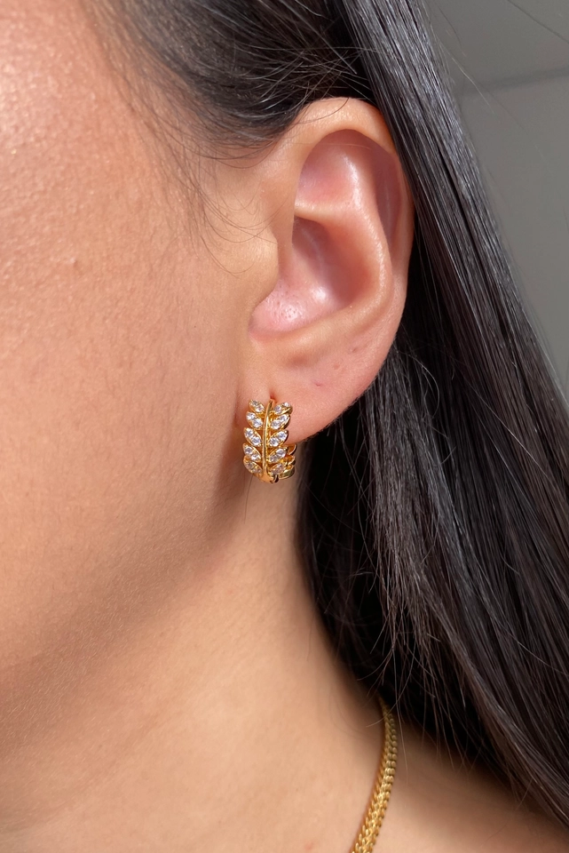 Argola Folhas Cravejadas P