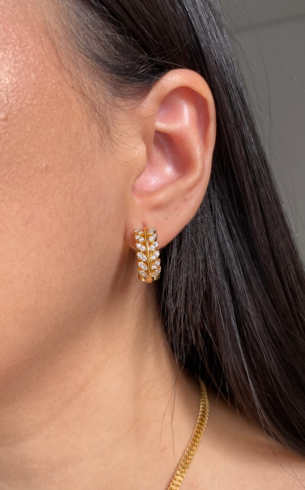 Argola Folhas Cravejadas M - 1