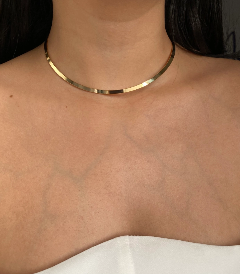 Colar Aro Liso com Fecho