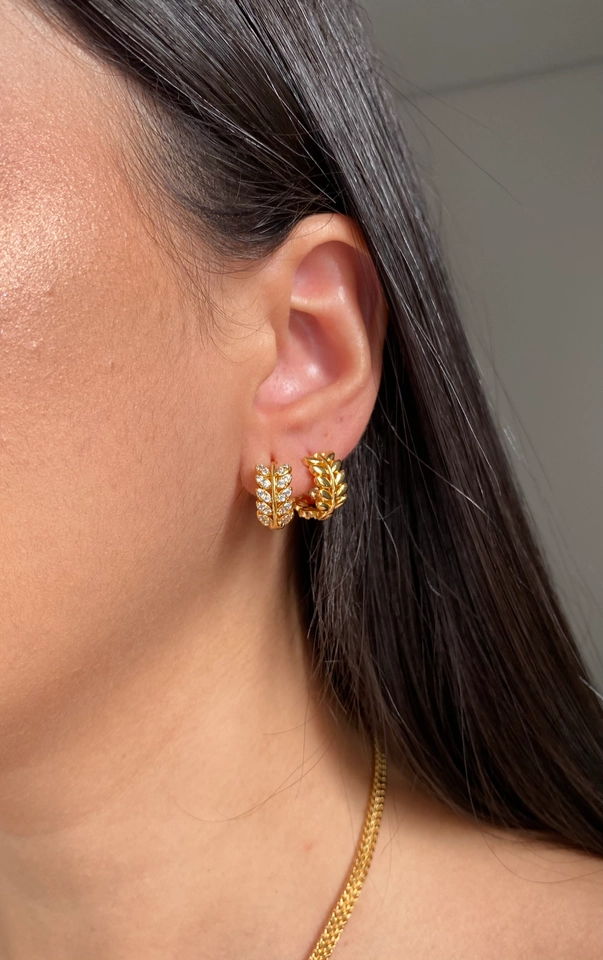 Argola Folhas Cravejadas P - 3