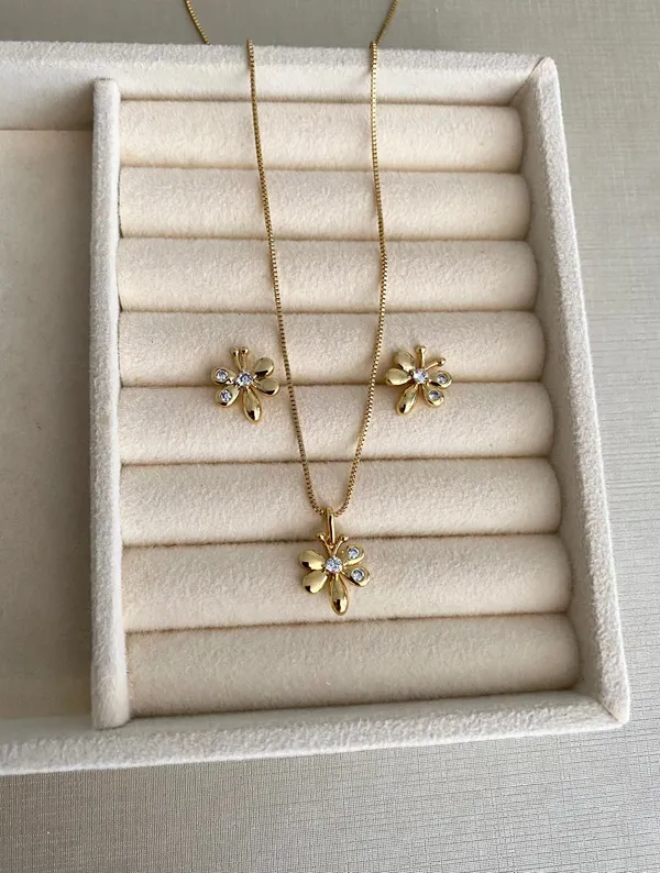 Conjunto Libélula