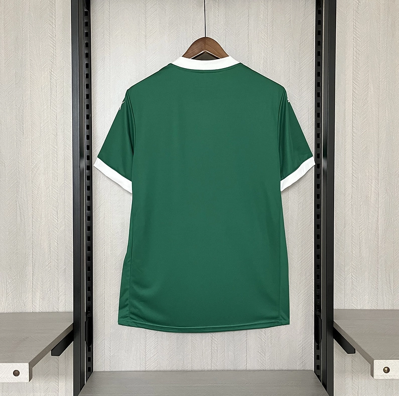Palmeiras I 25/26 - 2