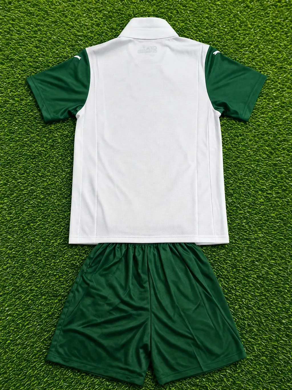 Conjunto Infantil Palmeiras Branco e Verde - 2