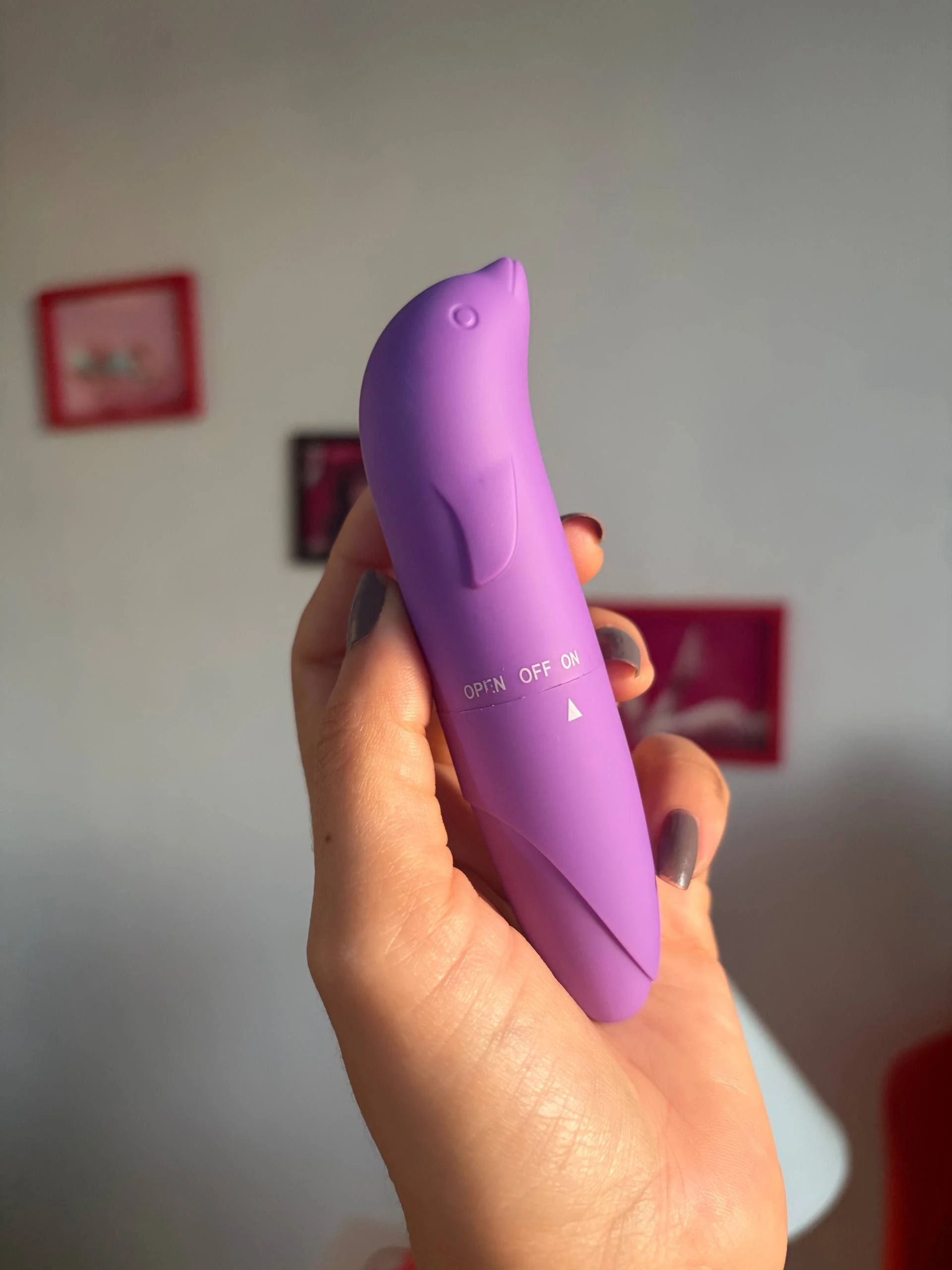 VIBRADOR AVELUDADO GOLFINHO - 4