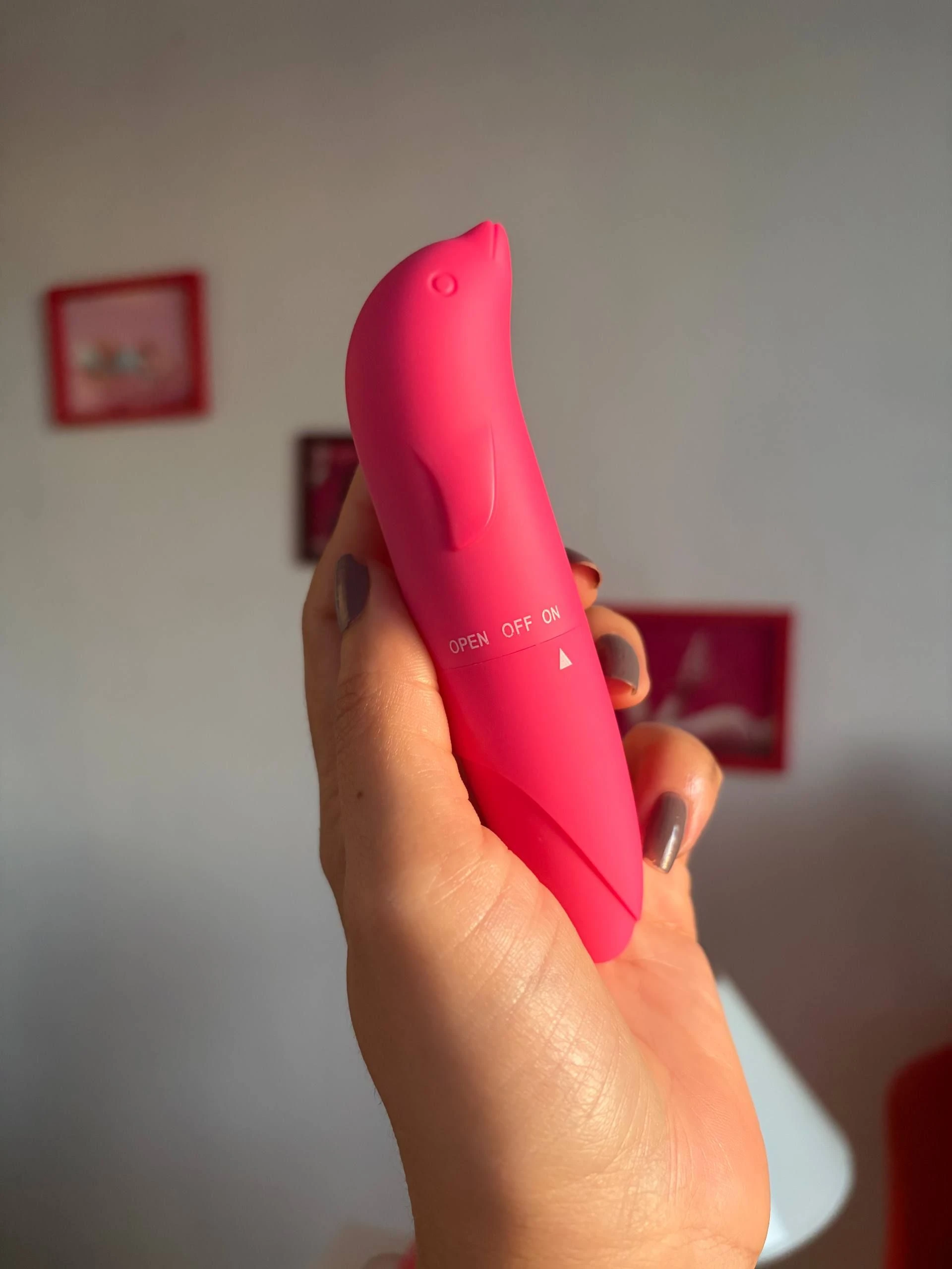 VIBRADOR AVELUDADO GOLFINHO - 3