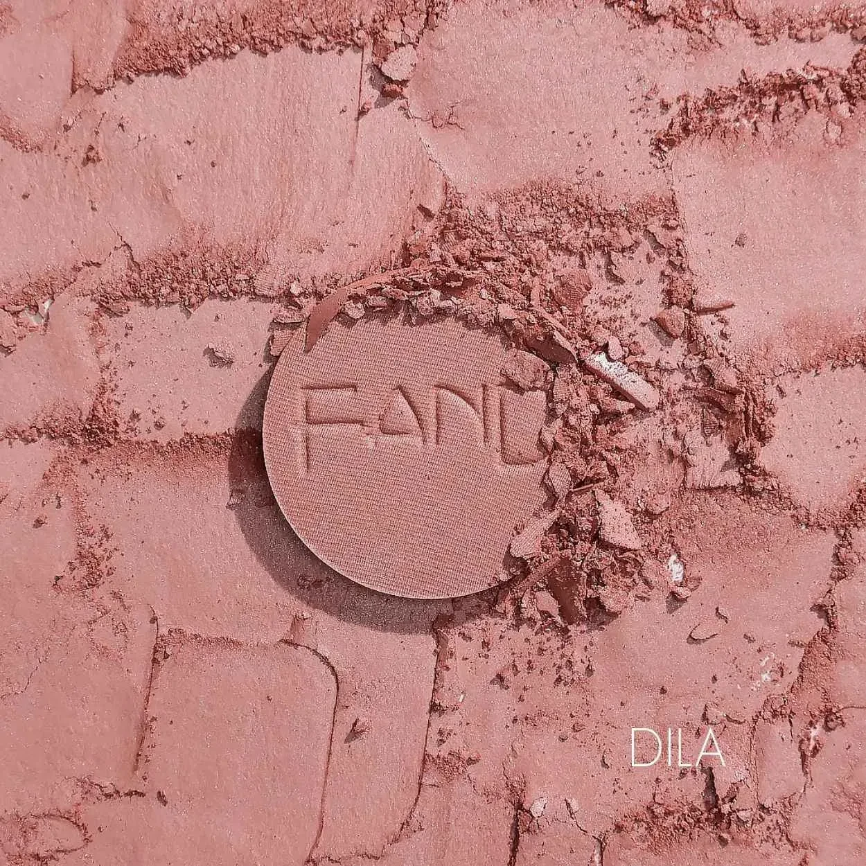 Blush compacto dila - Fand  - 3