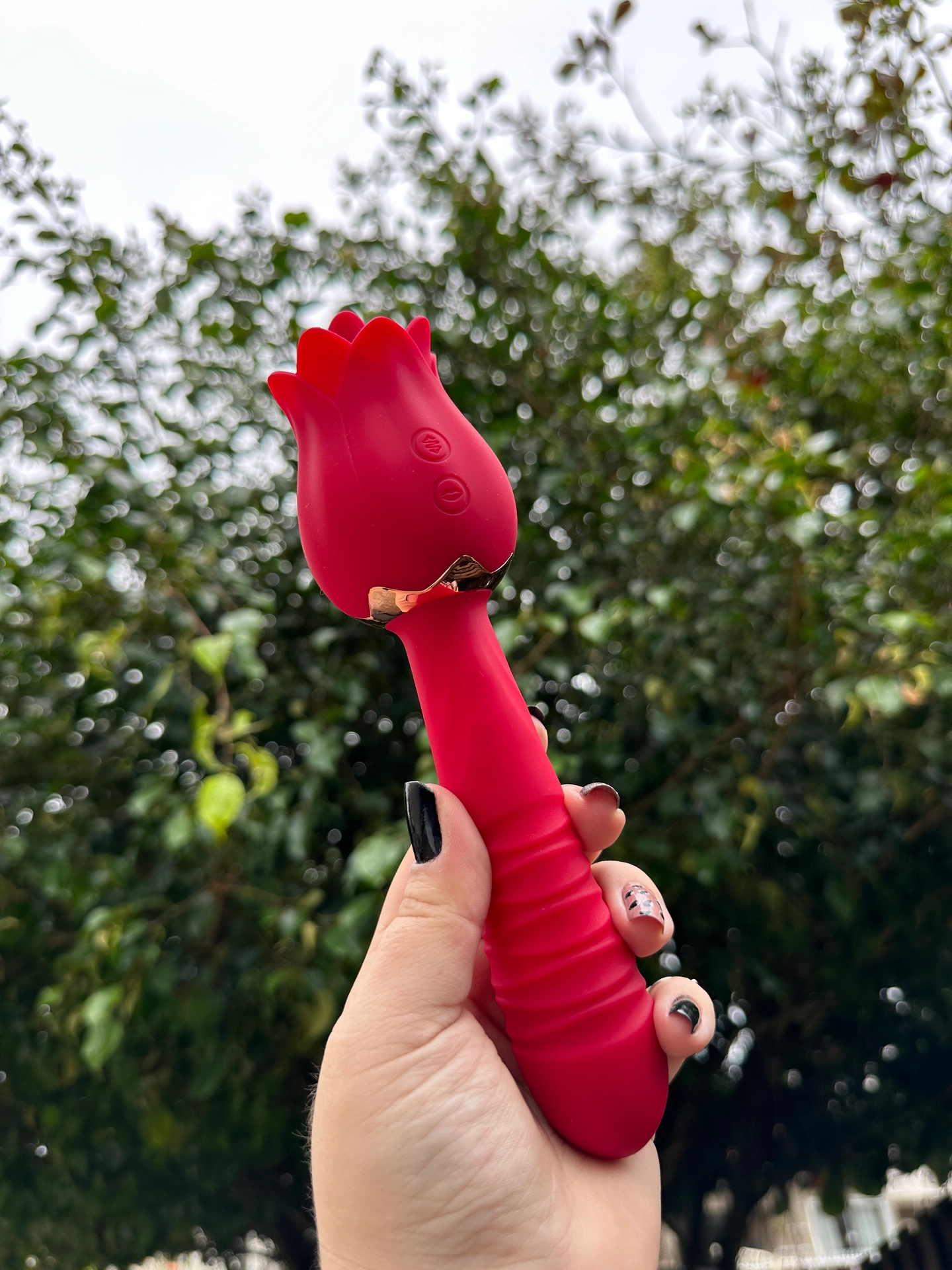 Rosa linguaruda e vai e vem  - 2
