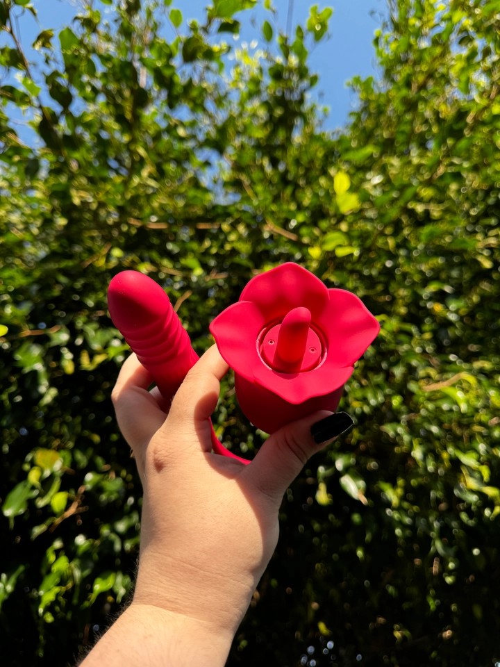 ROSA Suga e vai e vem  - 3