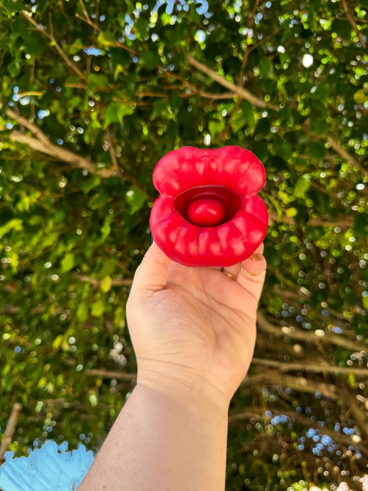 Vibrador Suga e Vibra - 1