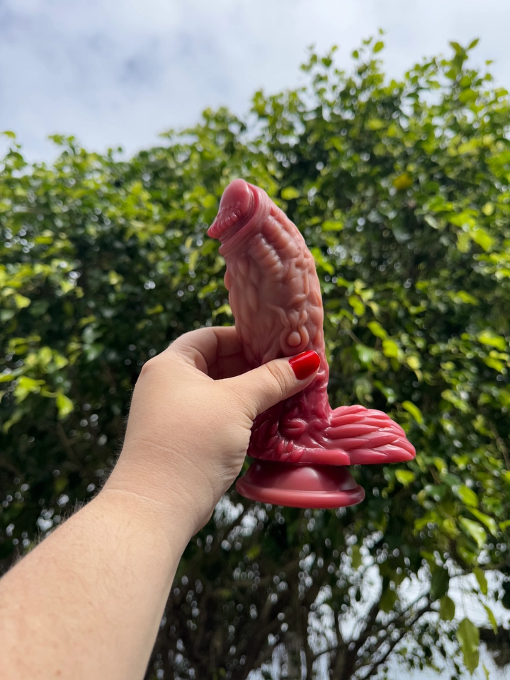 Prótese Allo Texturizado em Silicone com Ventosa 20X6 - 3