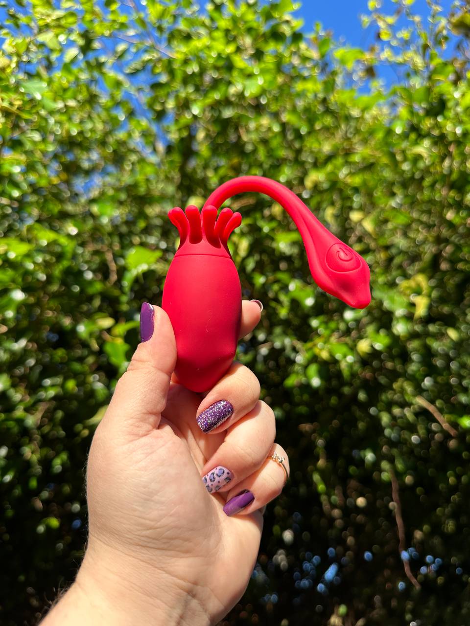 Vibrador Polvo calcinha gira app  - 2