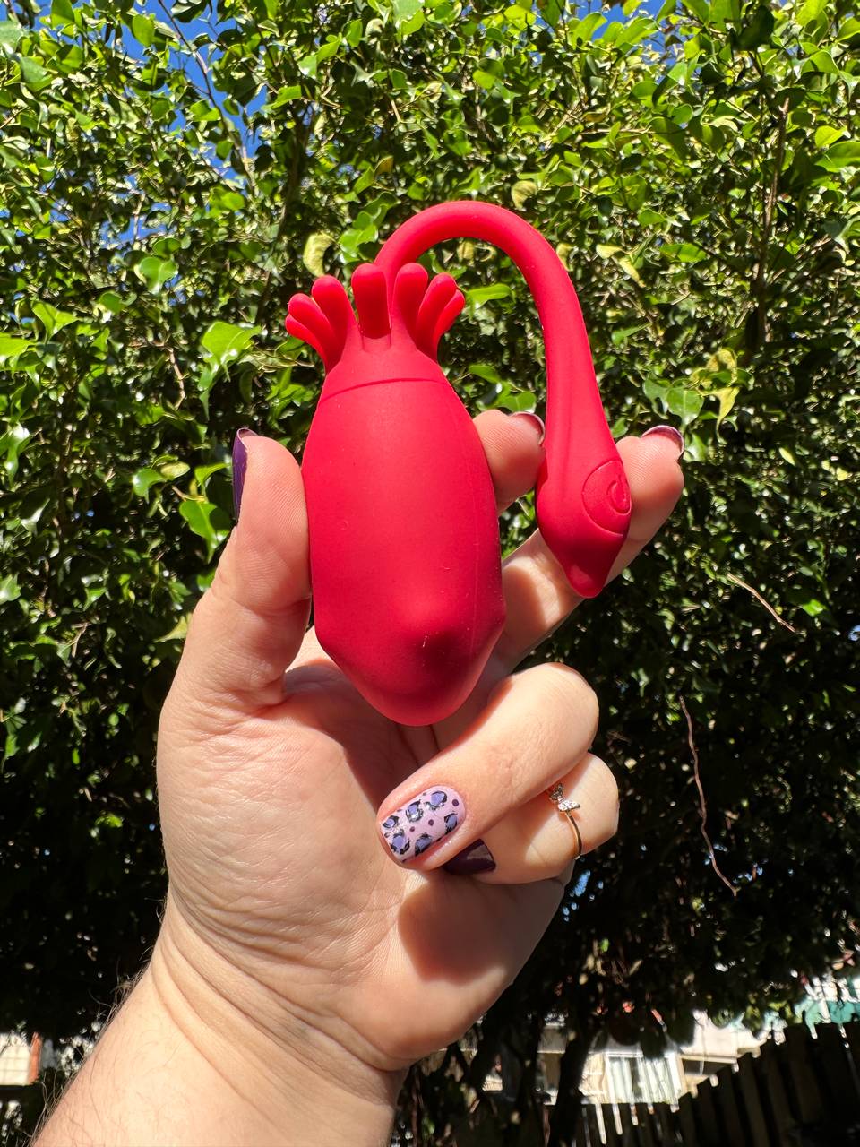 Vibrador Polvo calcinha gira app  - 1