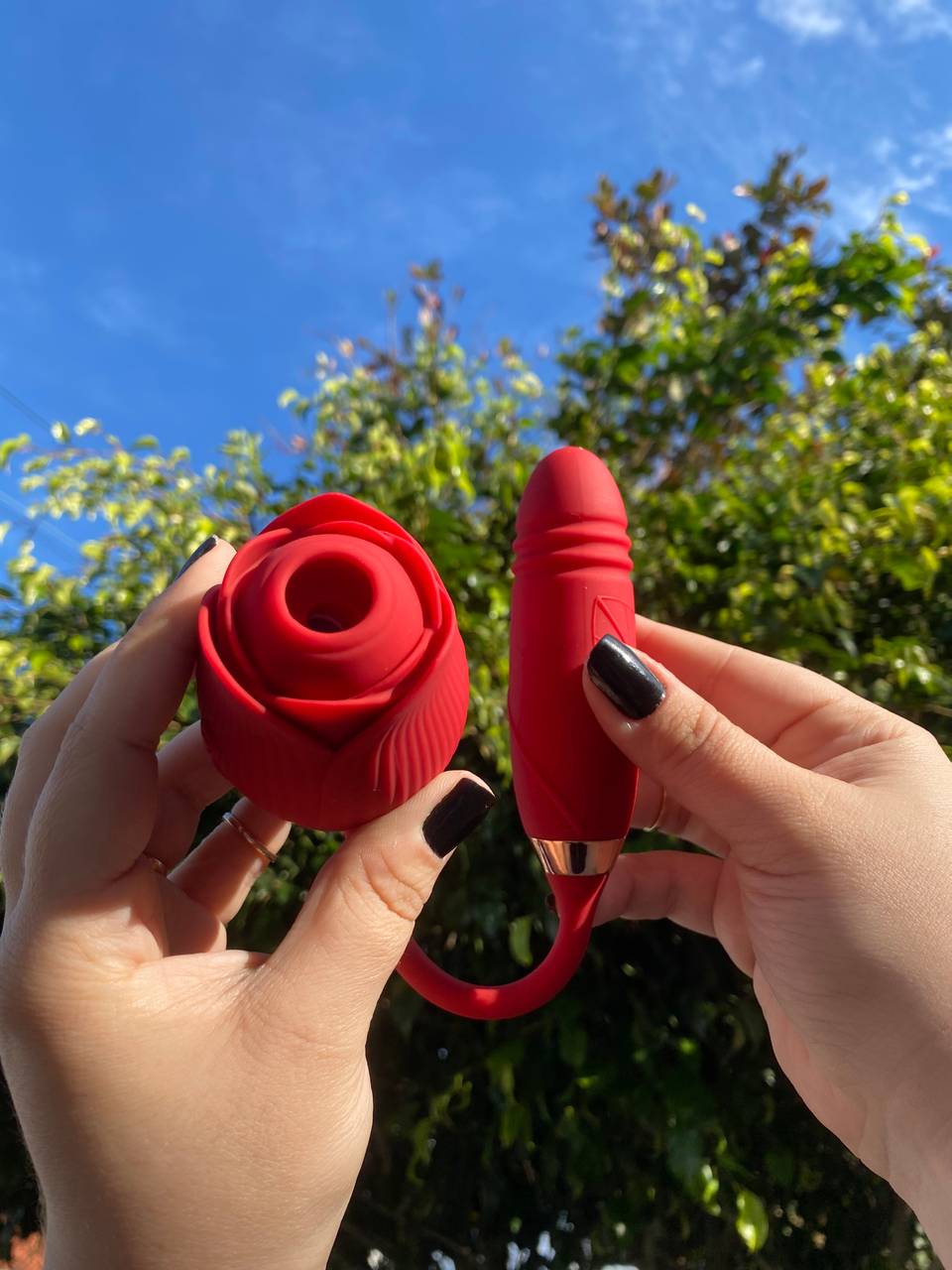 Rosa 2 em 1  sugador e vai e vem  - 1