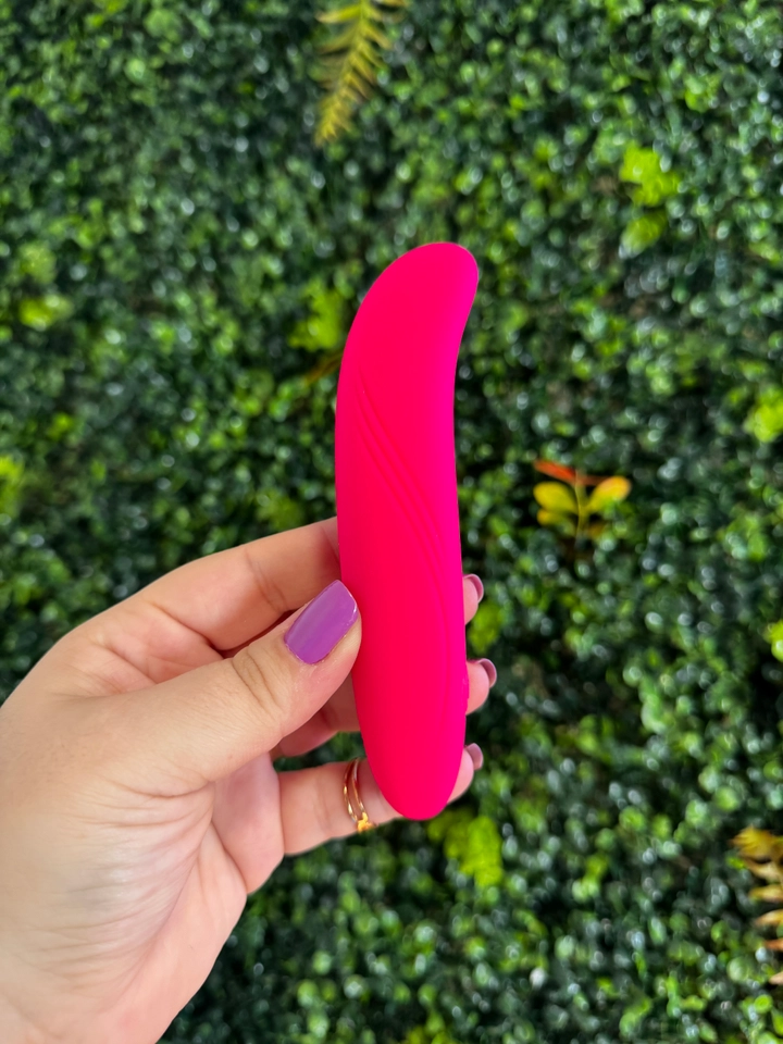 Vibrador golfinho ponto G recarregável - imagem 1