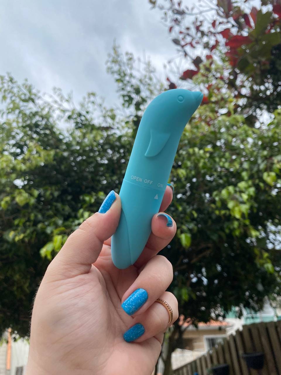 Vibrador Golfinho a pilha - 6