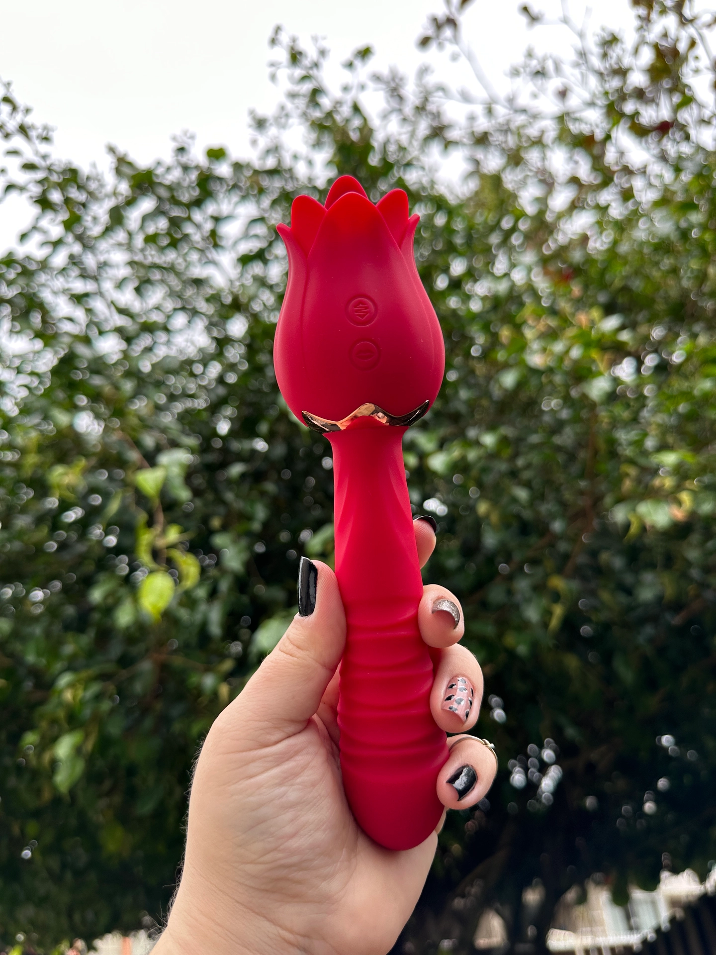 Rosa linguaruda e vai e vem  - 1