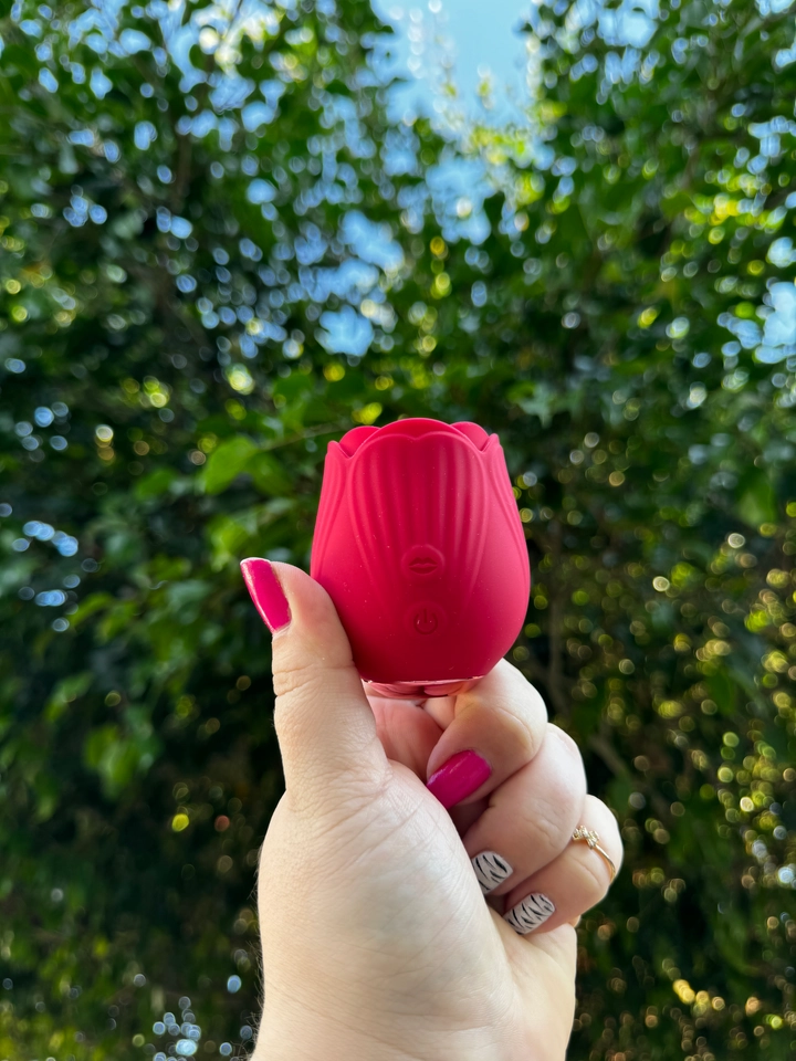 Sugador Rosa  - 2