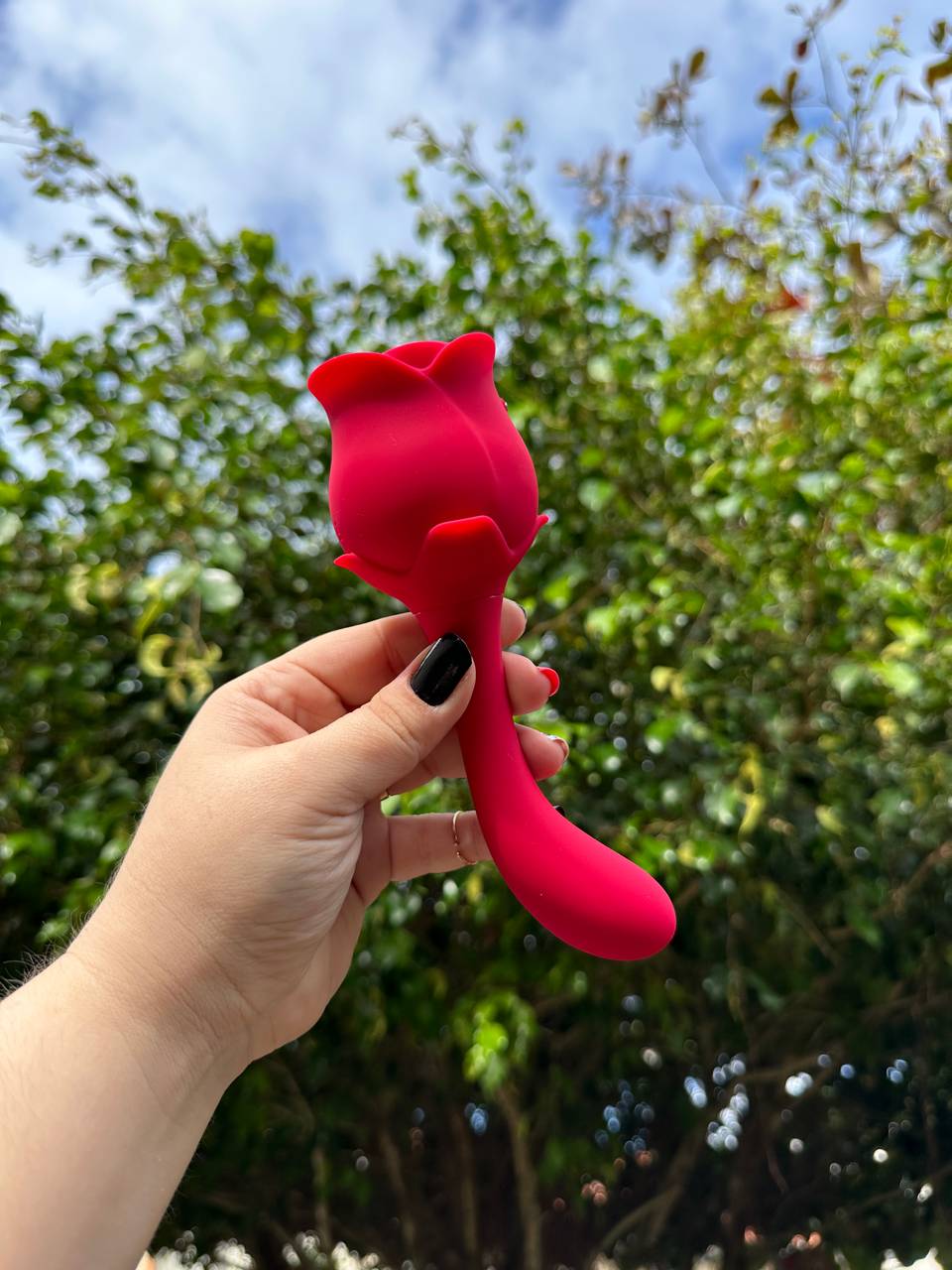 Rosa 2 em 1  - 1