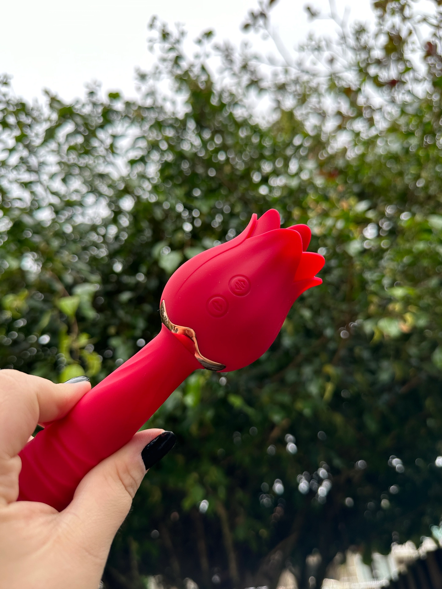 Rosa linguaruda e vai e vem  - 3