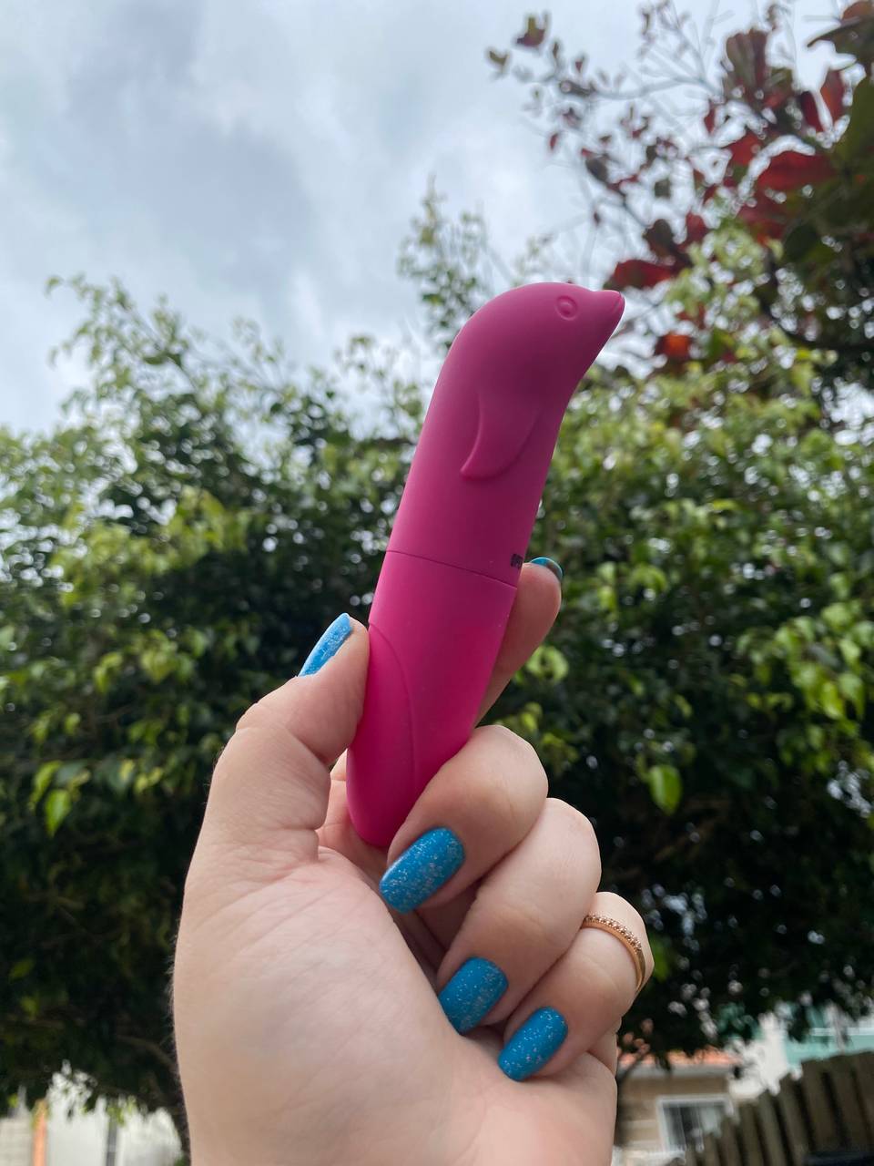 Vibrador Golfinho a pilha - 4