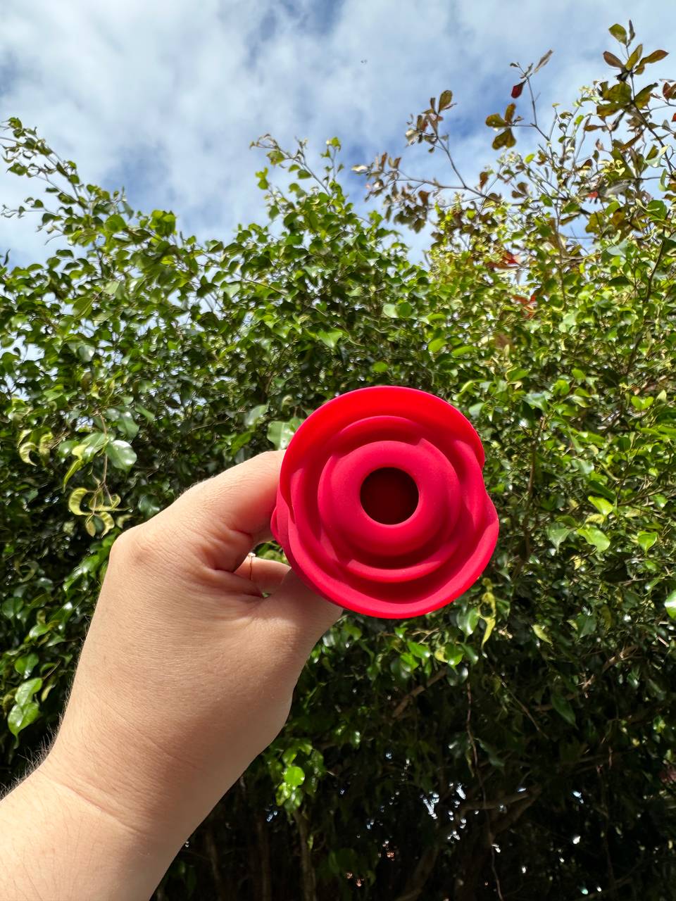 Rosa 2 em 1  - 5