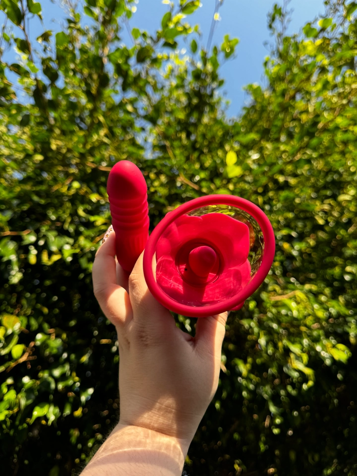 ROSA Suga e vai e vem  - 2