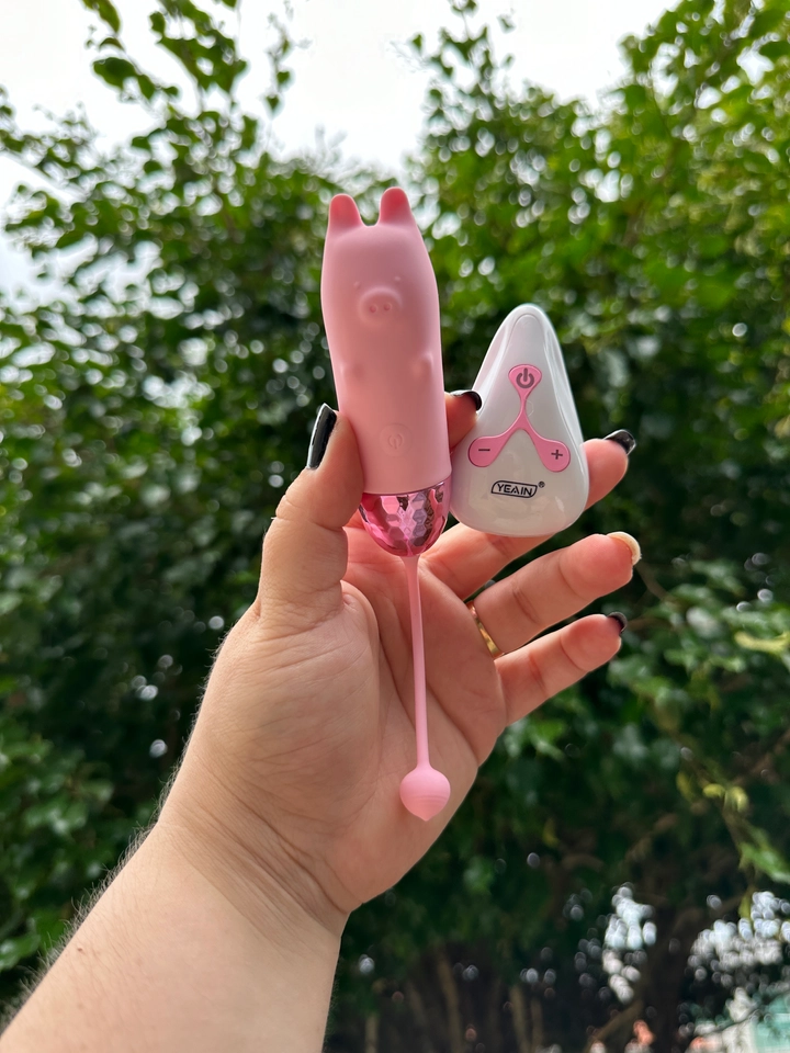 Bullet Pig Com Controle - 1