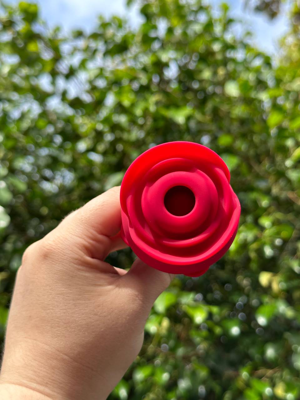 Rosa 2 em 1  - 2