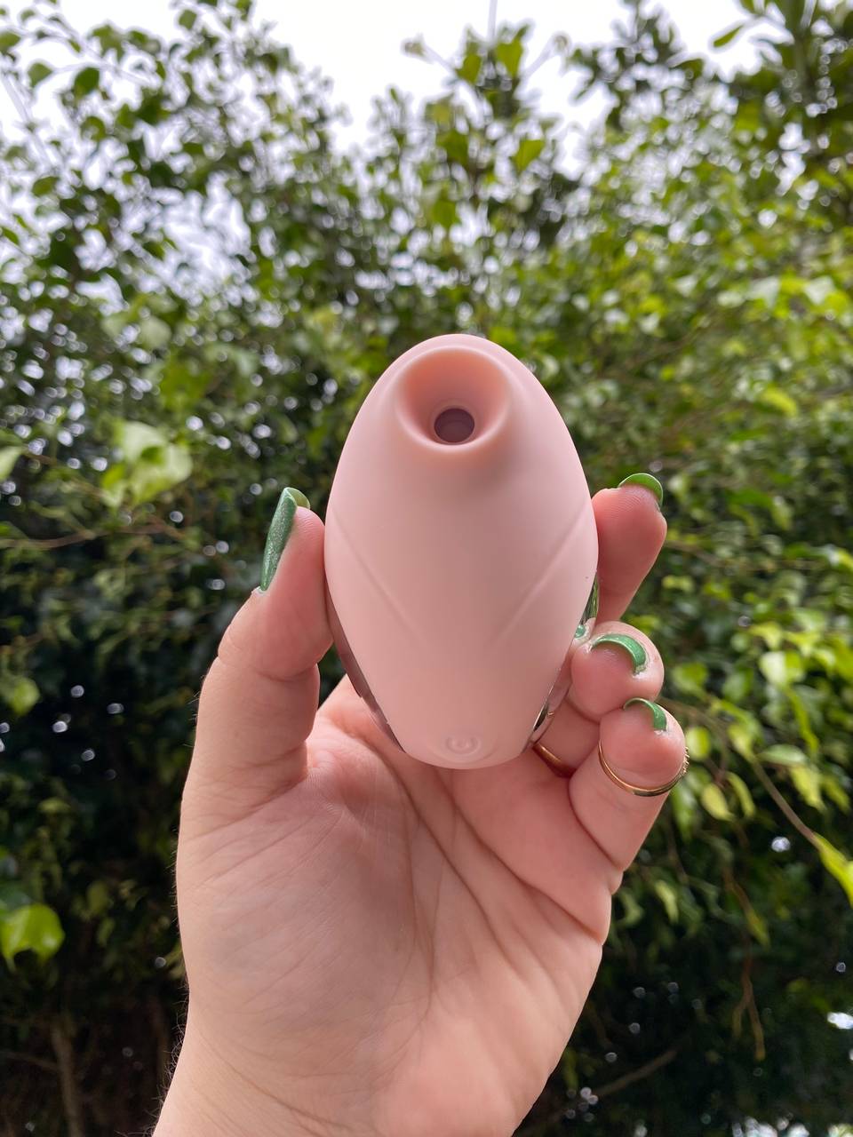 Sugador Bird - 2