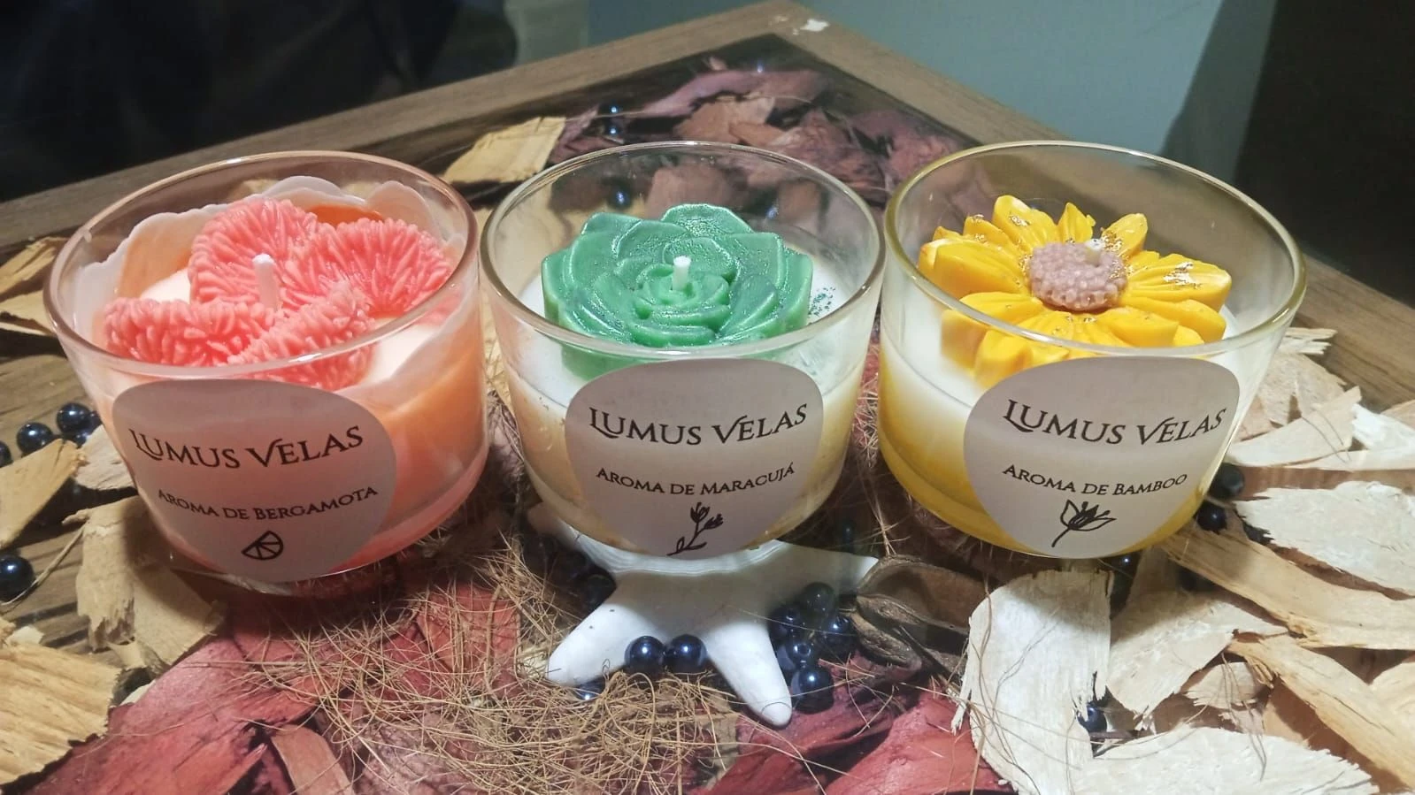Velas Aromáticas 🌵 Suculentas - 2