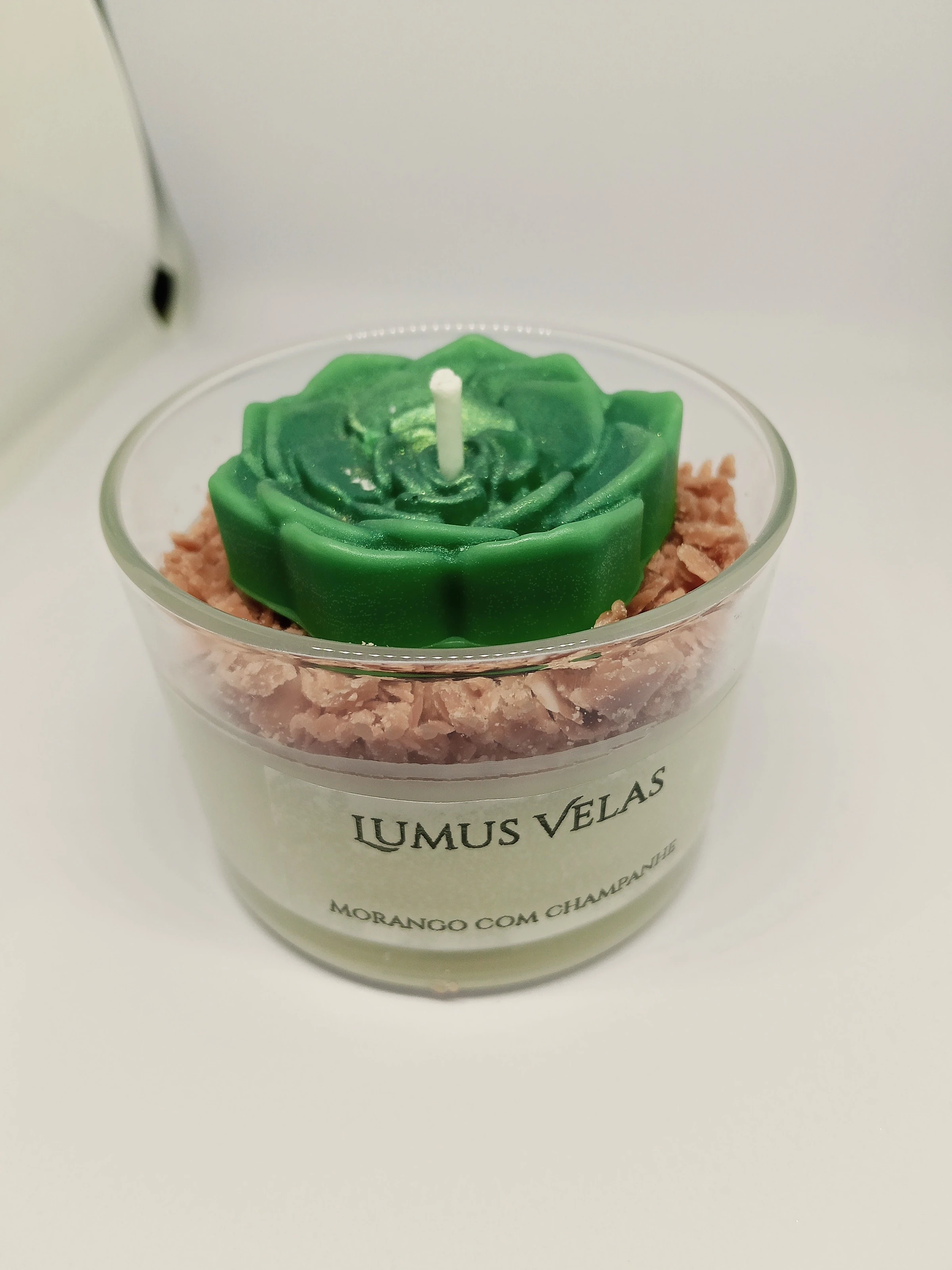 Velas Aromáticas 🌵 Suculentas - 3