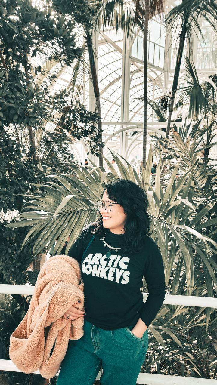 Camiseta Arctic Monkeys (classic) - imagem 1