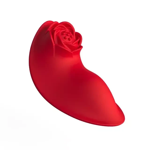 Vibrador de Calcinha Por APP Recarregável  - 3
