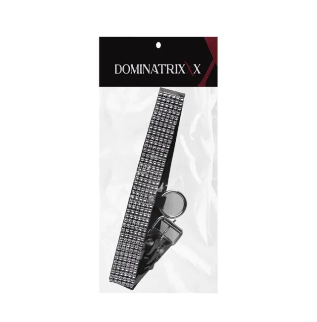 Chocker Strass com Argola  - 3
