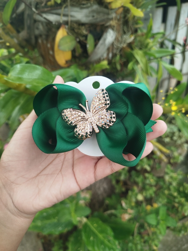 Boutique borboleta de luxo - 6