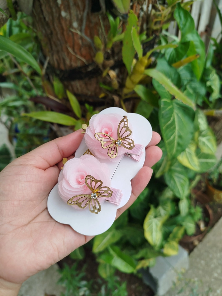 Parzinho de rosas delicadas - 2