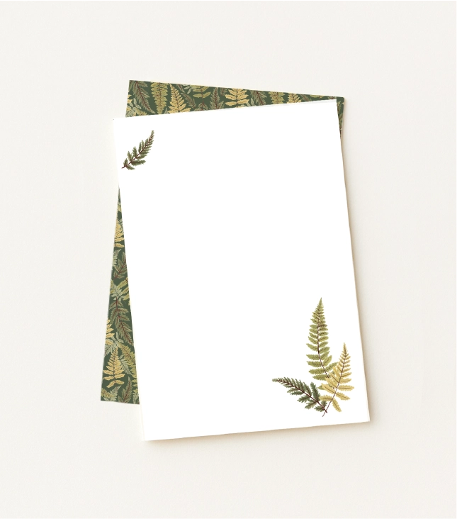 Kit Papel de Carta Fern Verde