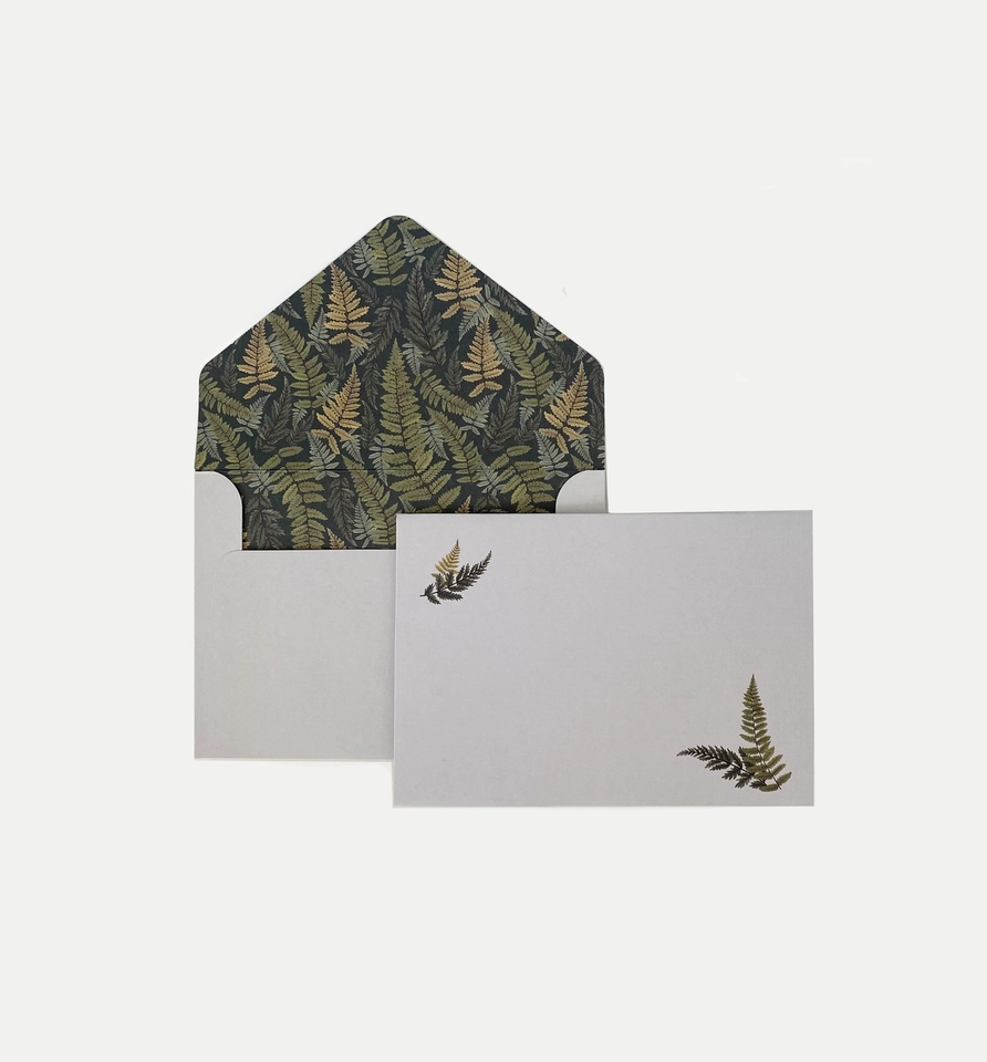 Envelope Fern Verde