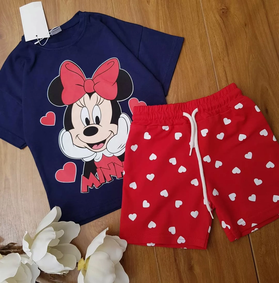 Conjunto verão Minnie  - 1