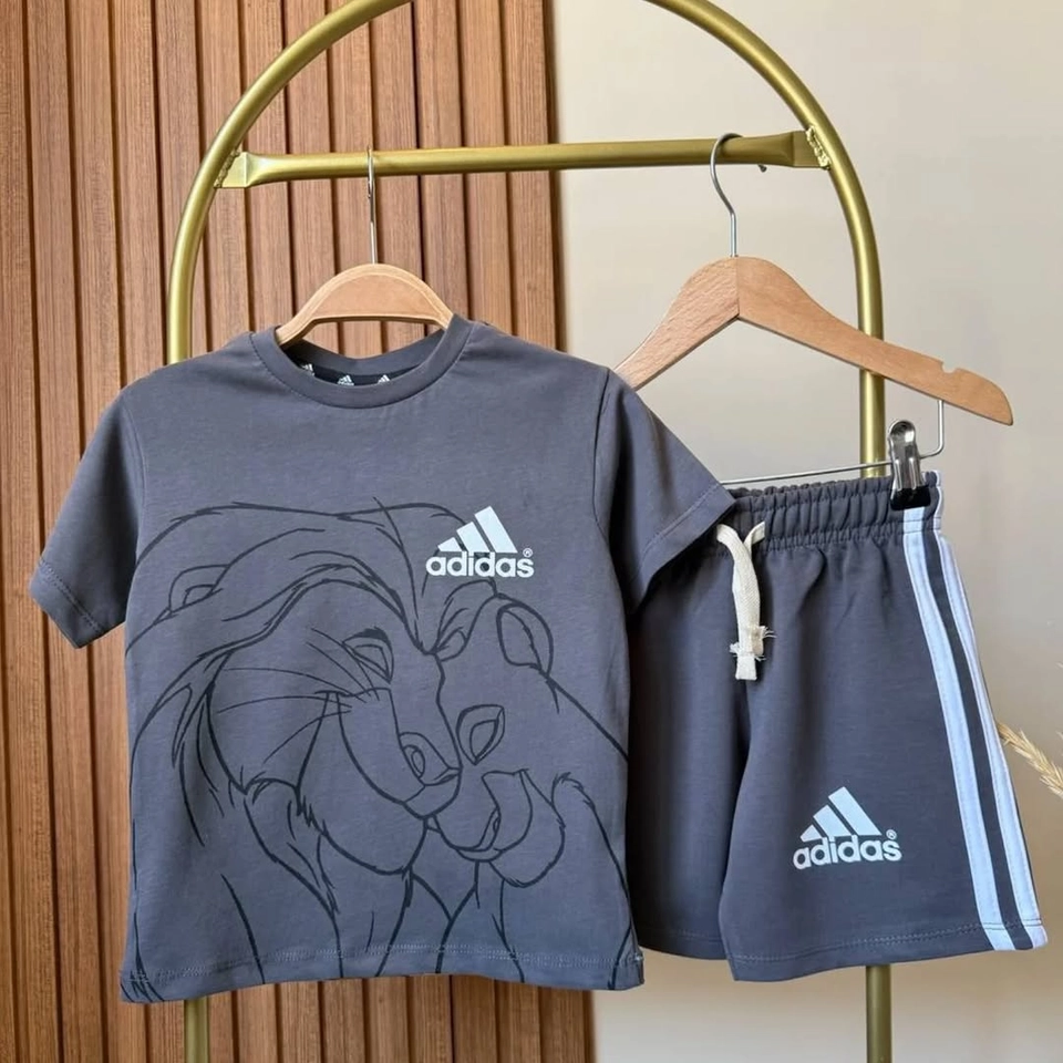 Conjunto verão Rei leão  - 2