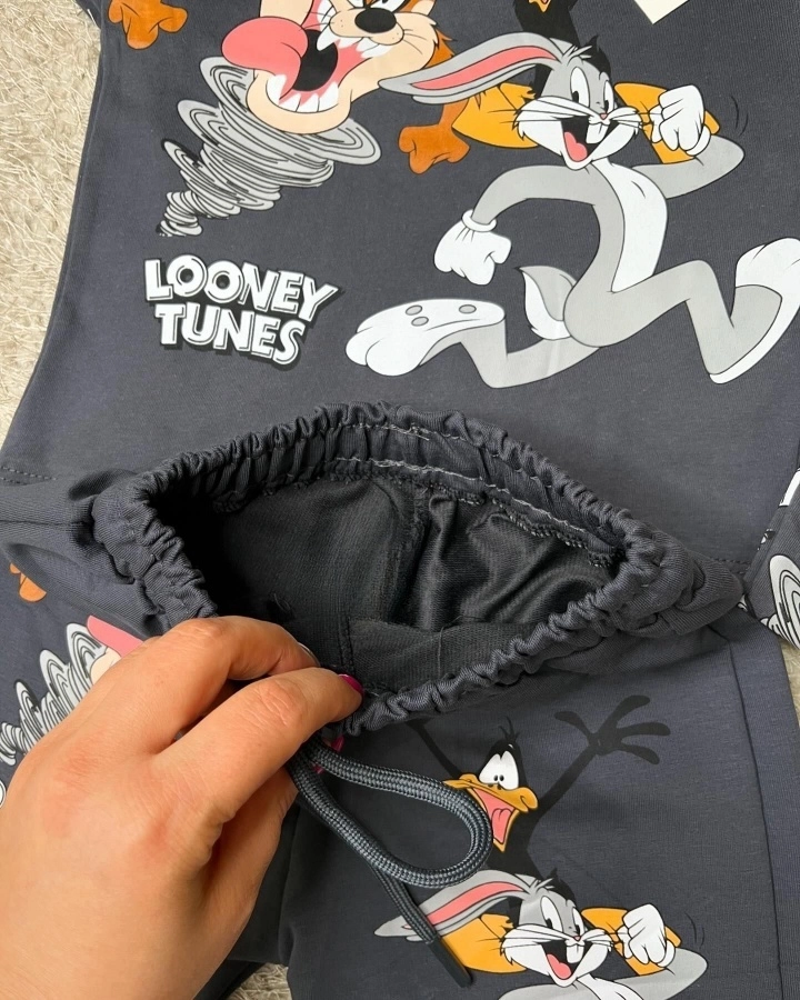 Conjunto Verão Lonney Tunes  - 2