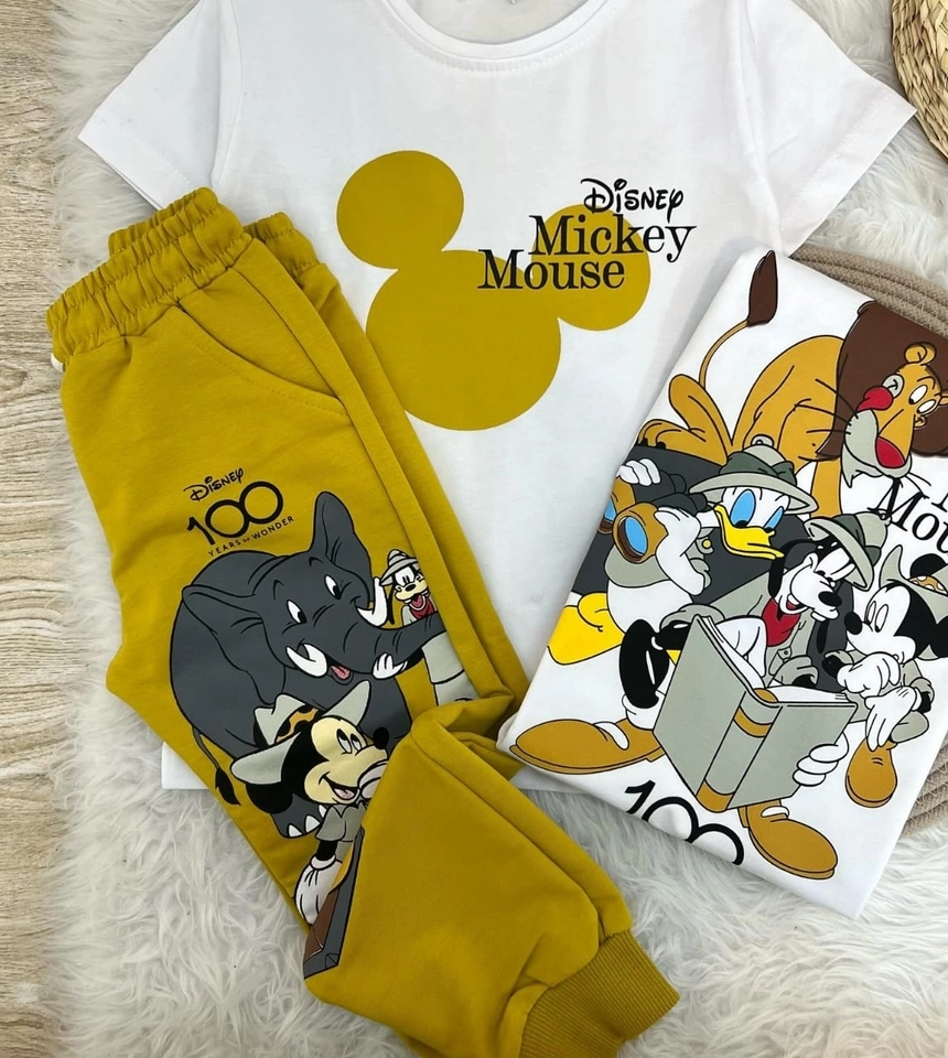 Conjunto 100 anos Disney  - 1