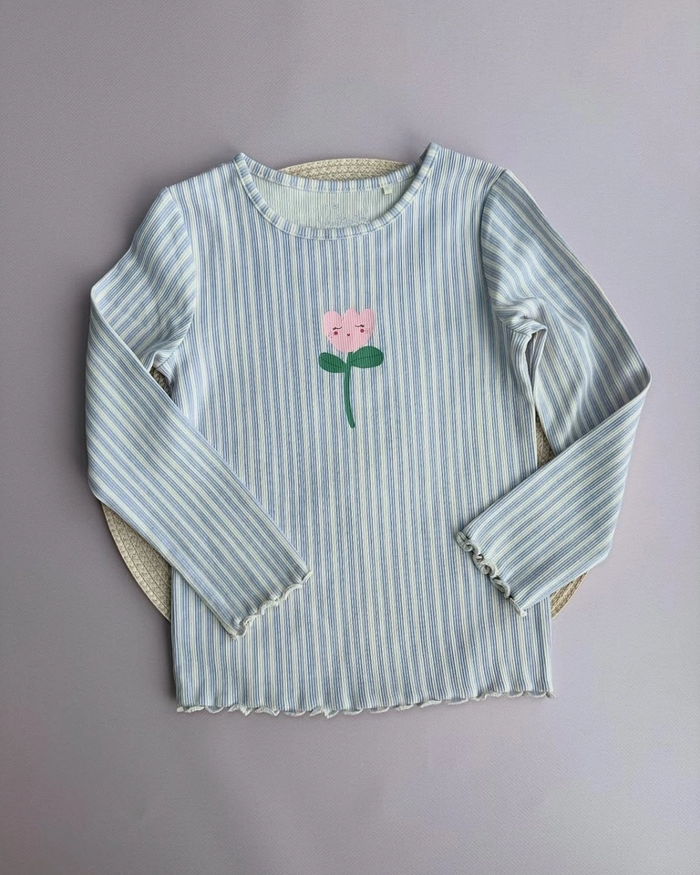 Kit 5 Blusas Manga Longa  - 5